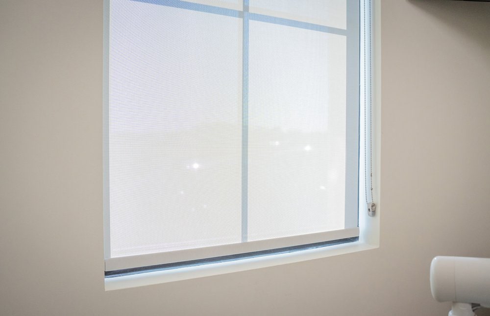 Single Window Renovations